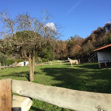 Quinta Dos Lameiros