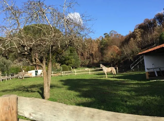 Quinta Dos Lameiros